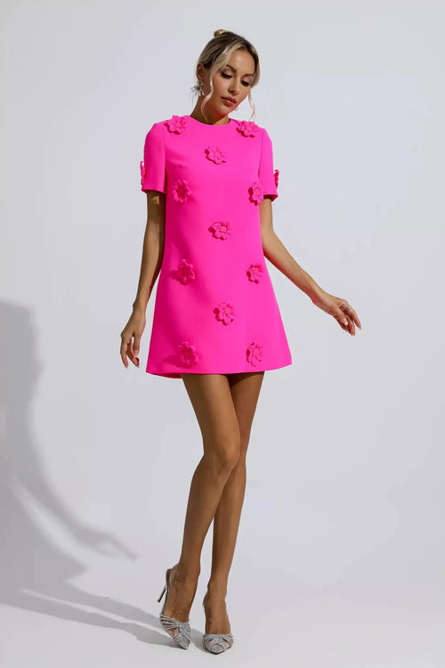Amelia Mini Dress - Doelans